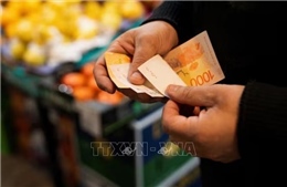 Argentina công bố đợt phát hành trái phiếu bằng đồng peso đầu tiên trong gần một thập kỷ