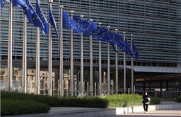 EU và 6 nước thành viên phê chuẩn Hiệp định về Biển cả