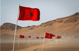 Algeria phản ứng với Anh vì ủng hộ kế hoạch của Maroc về Tây Sahara