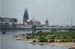 Đức: Thành phố Köln sơ tán 20.000 người để tháo gỡ bom từ Thế chiến II