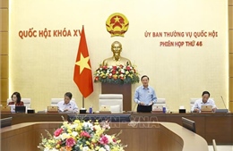 Phiên họp thứ 46 Ủy ban Thường vụ Quốc hội: Nhất trí bổ sung thẩm quyền xử phạt vi phạm hành chính của Viện kiểm sát nhân dân