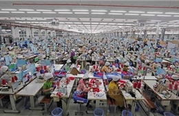Quan hệ thương mại Việt Nam - Pháp: Đòn bẩy từ lĩnh vực tiềm năng
