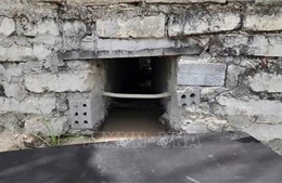 Phạt hơn 220 triệu đồng đối với cơ sở du lịch gây ô nhiễm môi trường