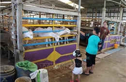 &#39;Hút khách&#39; từ quy hoạch 3 vùng du lịch sinh thái