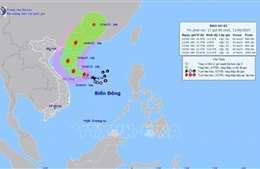 Các địa phương sẵn sàng lực lượng, phương tiện ứng phó với bão số 1