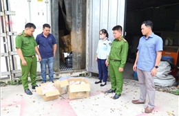 Xử lý các hành vi vi phạm pháp luật ở Bình Dương, Hà Giang