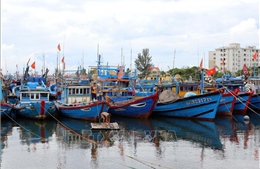Đà Nẵng triển khai ứng phó bão số 1 và mưa lớn