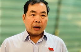Bên lề Kỳ họp thứ 9, Quốc hội khóa XV: Chặt chẽ, khoa học trong sắp xếp đơn vị hành chính cấp tỉnh