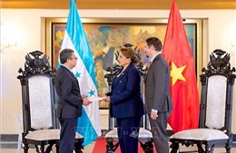 Việt Nam và Honduras củng cố tin cậy chính trị, mở rộng không gian hợp tác
