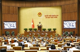 Xử lý tài sản công dôi dư và quan tâm tới công tác cán bộ, nguồn nhân lực