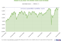 Phiên 17/6/2025: VN-Index tăng gần 10 điểm