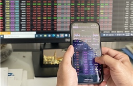 Cổ phiếu dầu khí bứt tốc giữa sắc đỏ thị trường