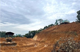 Chủ tịch UBND Hà Nội chỉ đạo xử lý vụ &#39;xẻ thịt&#39; đất đồi tại Ba Vì do TTXVN phản ánh