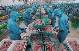 Xuất khẩu thủy sản trước những thách thức khó đoán định