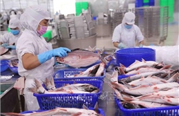 Việt Nam - Brazil: Nhiều dư địa hợp tác kinh tế thương mại