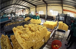 Xuất khẩu nông, lâm, thủy sản thu về gần 34 tỷ USD trong 6 tháng