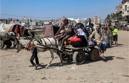 Hamas sẽ đưa ra quyết định cuối cùng về đề xuất ngừng bắn ở Dải Gaza