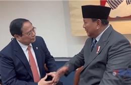 Thủ tướng Phạm Minh Chính gặp Tổng thống Indonesia nhân Hội nghị BRICS