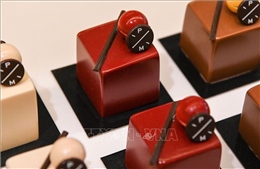 Các nhà sản xuất chocolate châu Âu vẫn lao đao sau cơn sốt giá ca cao