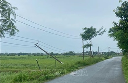 Hàng chục nghìn hộ dân ở Đồng Nai bị cúp điện sau trận dông lốc mạnh
