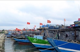 Huế: Hơn 1.100 phương tiện đã vào khu neo đậu an toàn