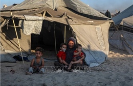 Palestine yêu cầu Liên đoàn Arab họp khẩn về khủng hoảng Gaza