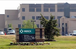 Tập đoàn dược phẩm Merck cắt giảm nhân sự