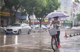 Trung Quốc: Thành phố Thượng Hải sơ tán trên 280.000 người do bão Co-may