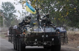 Ukraine bóc gỡ đường dây tham nhũng lớn trong lĩnh vực mua sắm quốc phòng