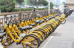 Chuyển mình vì không khí sạch - Bài cuối