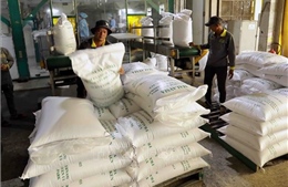 Thị trường nông sản: Giá gạo xuất khẩu tăng