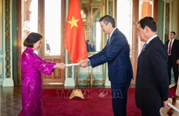 Đại sứ Việt Nam trình quốc thư lên Tổng thống Paraguay