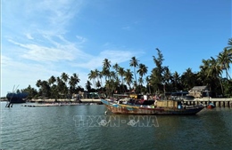 Giữ màu xanh những cánh rừng nơi cửa biển - Bài 1: Những &#39;tuyến đê xanh&#39;