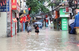 Hà Nội: Triển khai hộ đê, đảm bảo an toàn đê điều ứng phó với lũ
