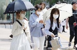 Nhật Bản: Tokyo trải qua kỷ lục 10 ngày liên tiếp nắng nóng cực đoan