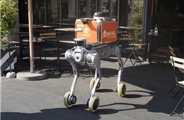 Robot giao hàng  - Lời giải cho thiếu hụt nhân lực logistics