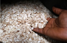Egusi – Hạt giống châu Phi được thử nghiệm trồng trên Mặt Trăng và Sao Hỏa