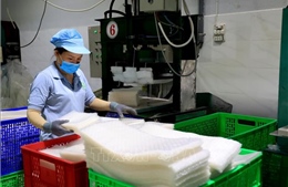 Đưa kinh tế tư nhân thành động lực phát triển