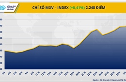Dòng tiền chảy mạnh đẩy MXV-Index lên đỉnh gần 2 tháng