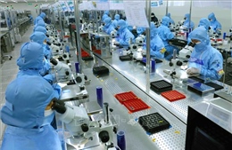 Xu hướng việc làm xanh đòi hỏi người lao động có kỹ năng phù hợp