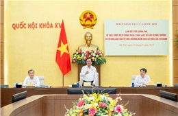 Tăng cường năng lực cấp xã để giải quyết các vấn đề môi trường trên địa bàn