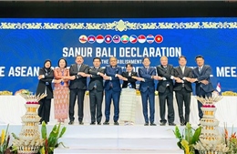 Việt Nam tích cực cùng ASEAN phòng, chống tội phạm xuyên biên giới