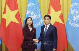 Chủ tịch nước tiếp Điều phối viên Thường trú và các Trưởng đại diện các tổ chức LHQ tại Việt Nam