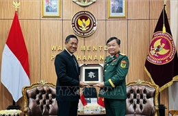Hợp tác quốc phòng Việt Nam - Indonesia ngày càng thực chất, hiệu quả