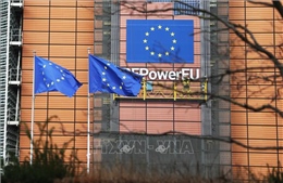 EU tìm &#39;phản ứng tập thể&#39; sau các vụ liên quan không phận của thành viên