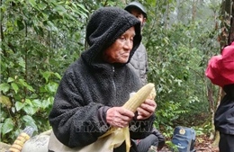 Tìm thấy ông cụ 78 tuổi lạc nhiều ngày trong rừng ở Lâm Đồng