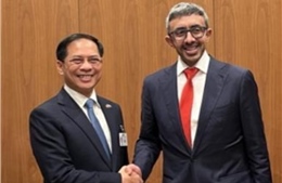 Phó Thủ tướng Bùi Thanh Sơn gặp lãnh đạo UAE và tiếp một số tập đoàn Mỹ