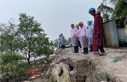 Vĩnh Long nhiều tuyến đê bao ven sông Cổ Chiên sạt lở nghiêm trọng