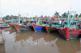 Hải Phòng: Đảm bảo an toàn đê điều, chủ động ứng phó bão MATMO