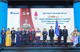 Phát triển VINAFOR trở thành tập đoàn lâm nghiệp quy mô lớn